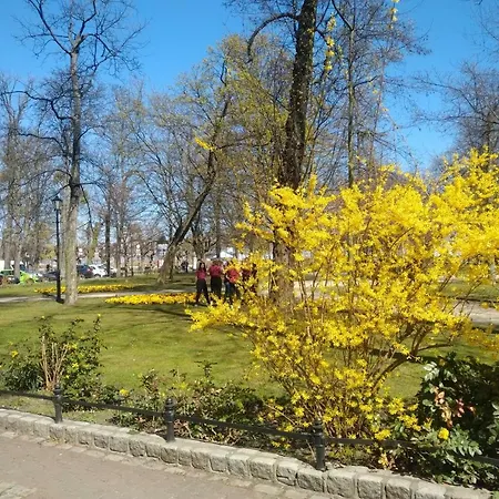 Błękitny Wieloryb Przy Plaży, Molo, Idealny Dla Podróżników Apartament *