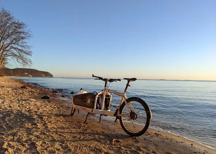 Błękitny Wieloryb Przy Plaży, Molo, Idealny Dla Podróżników Sopot