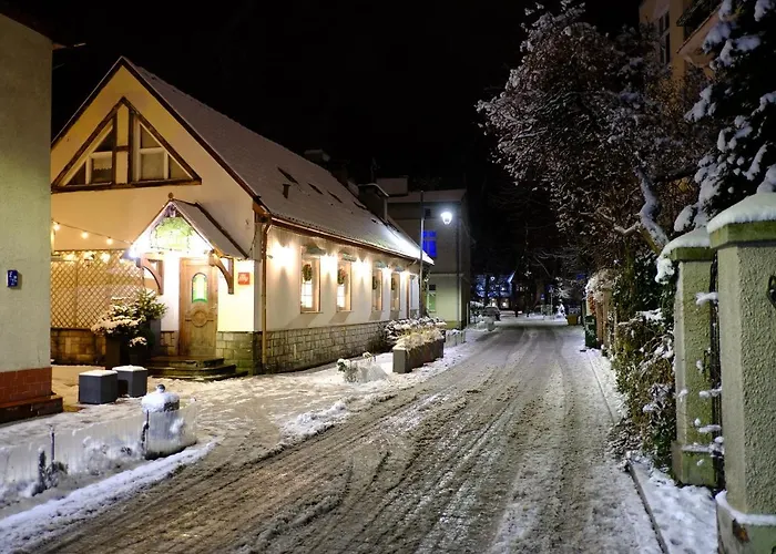 Błękitny Wieloryb Przy Plaży, Molo, Idealny Dla Podróżników Sopot