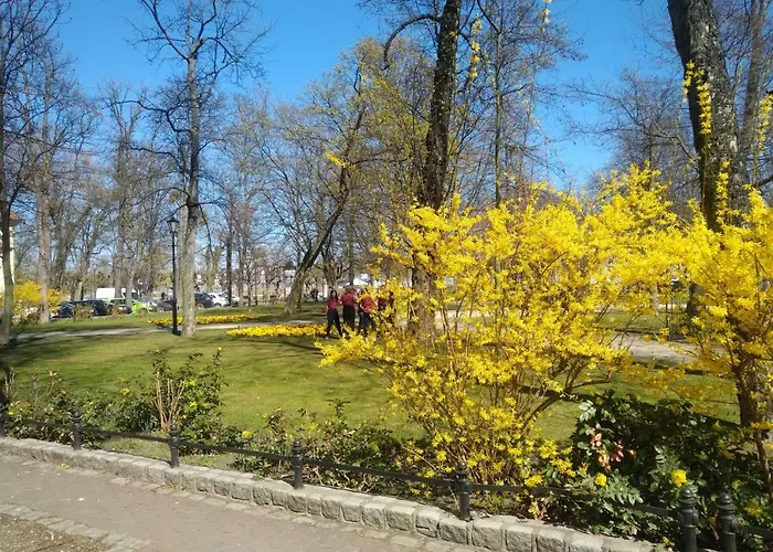 Błękitny Wieloryb Przy Plaży, Molo, Idealny Dla Podróżników Apartament *